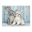 Puzzle 500 Piezas Gato y Conejo