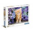 Puzzle 500 Piezas Gatito Rubio