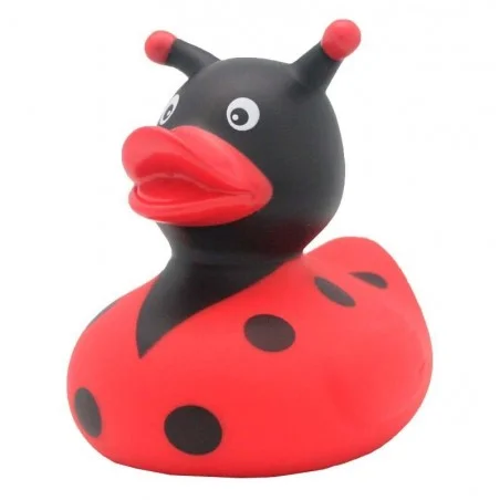 Pato Mariquita