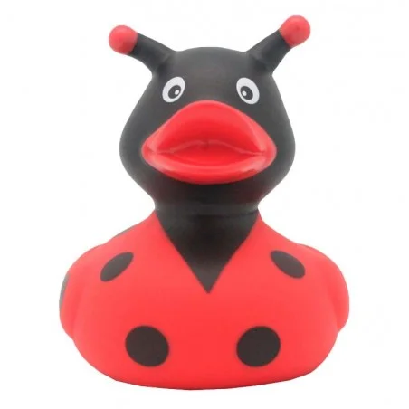 Pato Mariquita