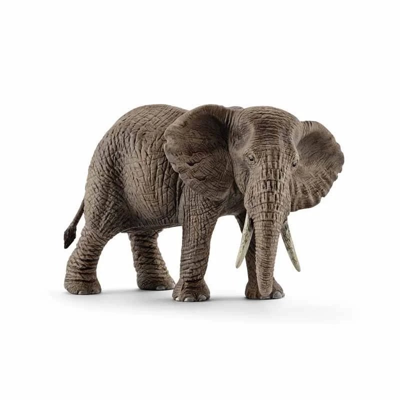 Schleich Wild Life Elefante africano hembra