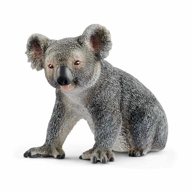 Schleich Wild Life Koala macho