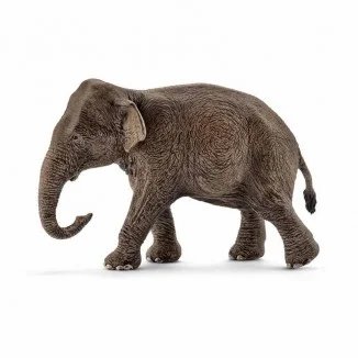 Schleich Wild Life Elefante asiático hembra