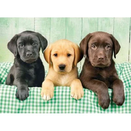 Puzzle Los Tres Labradores