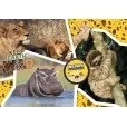 Puzzle Wildlife Adventure National Geographic Kids