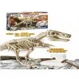Arqueojugando Esqueleto del Gran TRex