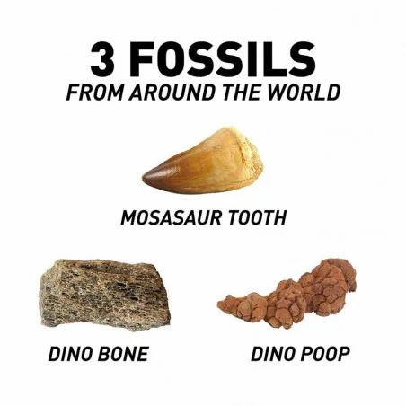 National Geographic Juego Excava Fósil Dinosaurio