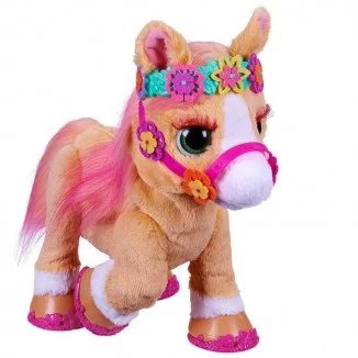 Canela Mi Pony Con Estilo