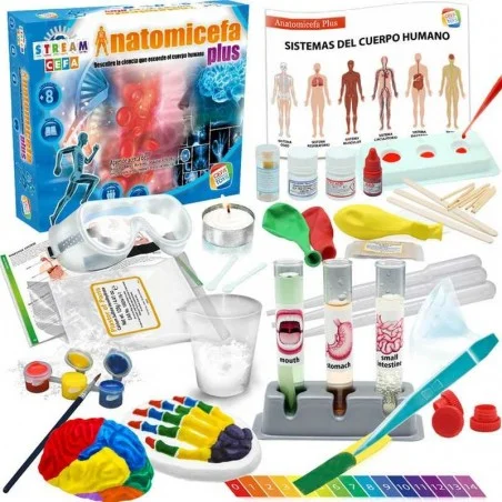 Juego Anatomicefa Plus