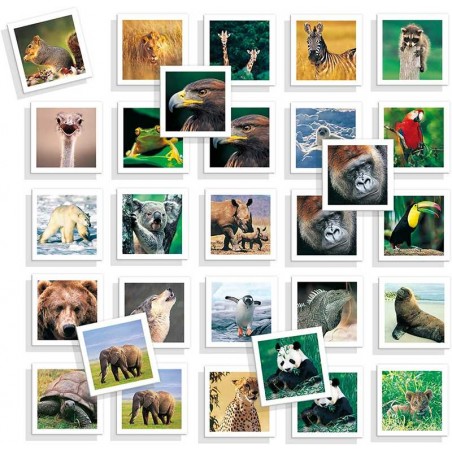 Juego Educativo Memo Photo Animals