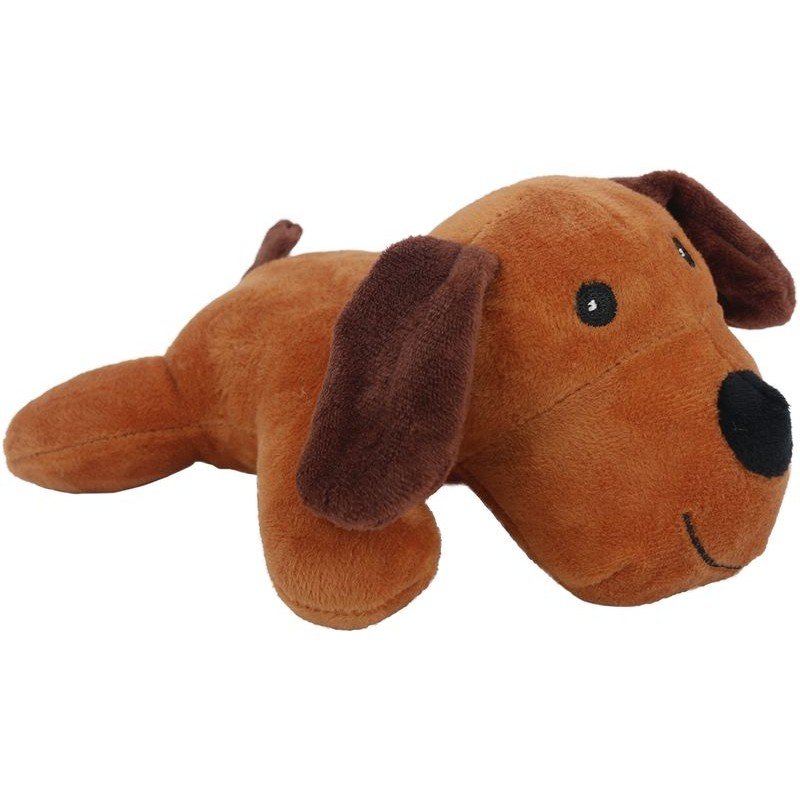 Set de veterinario con perrito