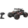 Coche Buggy Radio Control 1:10