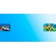 Playmobil Sports & Action