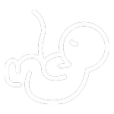 Muñecas Reborn