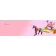 Playmobil Fairies